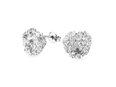 PERSILLE ØRESTIKKERE | Flora Danica