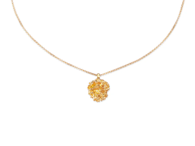 PERSILLE VEDHÆNG | Flora Danica